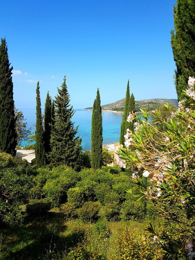 Villa Barbara Mlini Extérieur photo